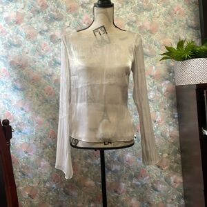 H&M Sliver Long Sleeve Sheer Top